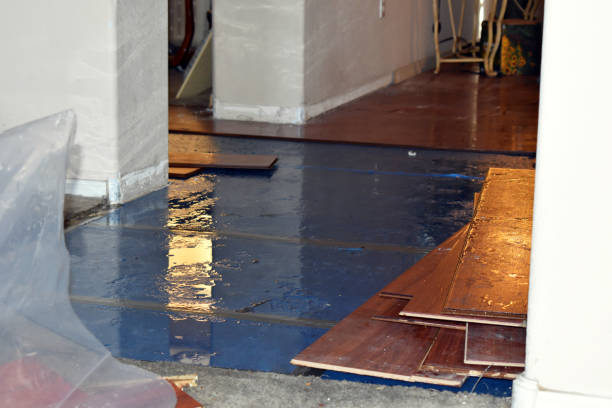 Professional Basement Flood Cleanup technician working in Lake Odessa, MI